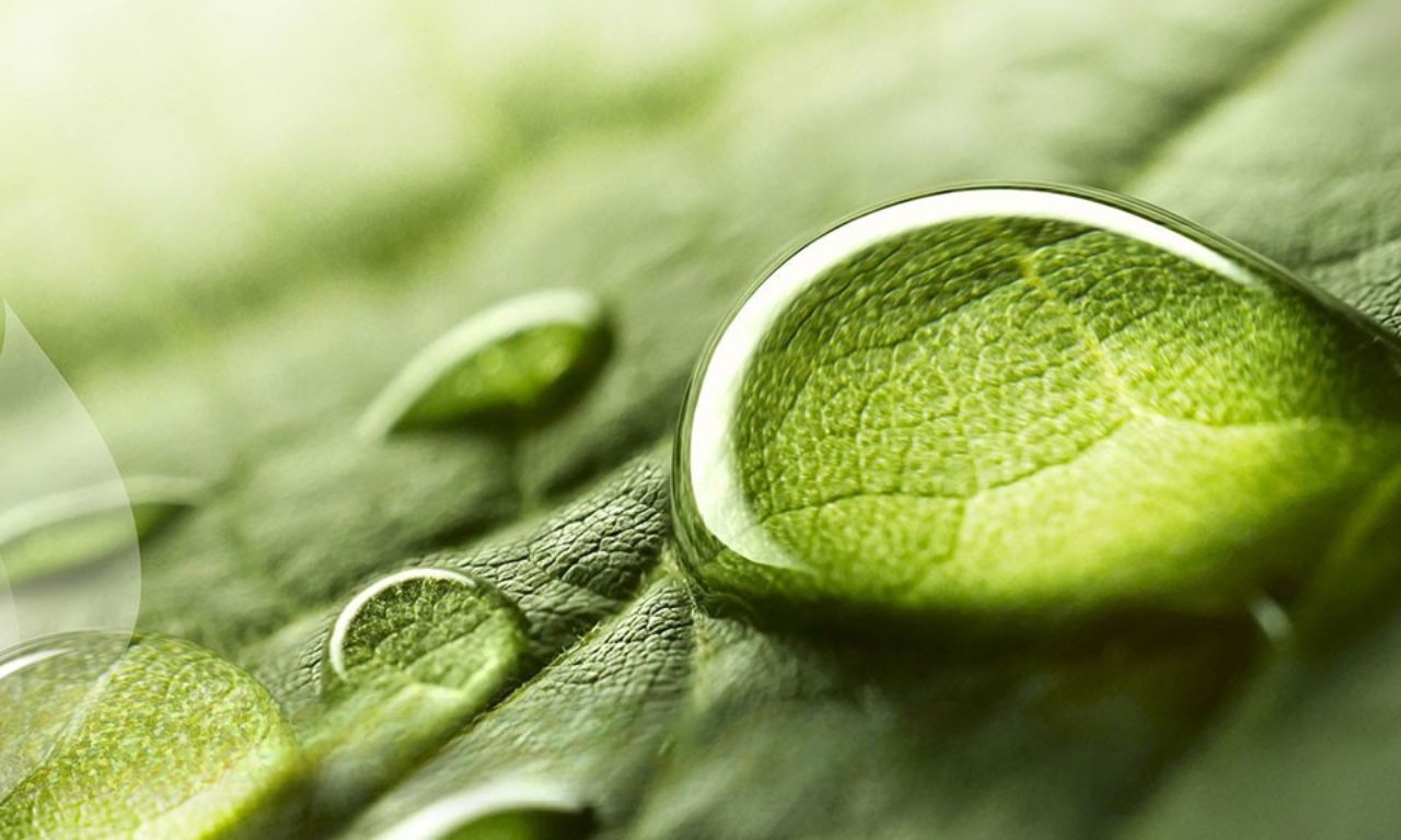 Nachhaltigkeitsbericht 2024 veröffentlicht